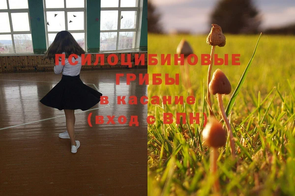 мефедрон Заводоуковск