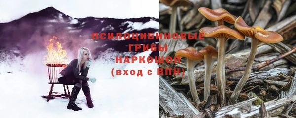 сатива Богородицк