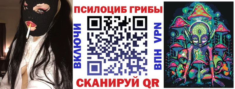 Псилоцибиновые грибы Psilocybine cubensis  Нолинск 
