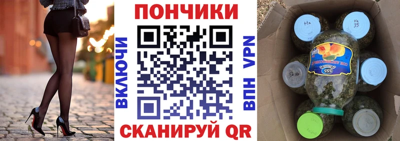 дарнет шоп  Нолинск  Каннабис конопля 